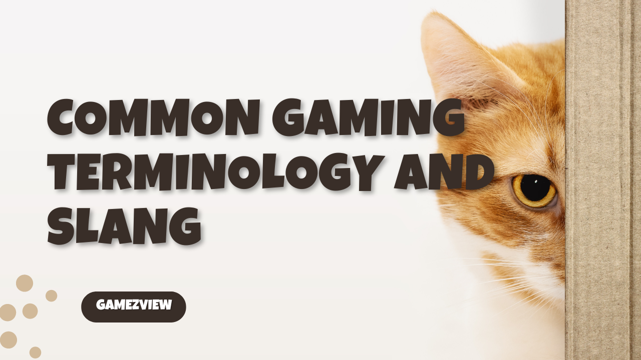 Common Gaming Terminology and Slang